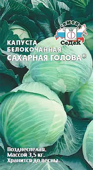 Капуста белокочанная семена